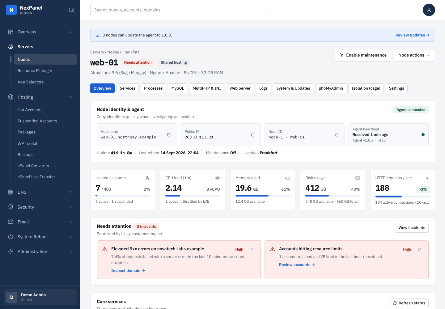 Admin panel: the overview page of one hosting server